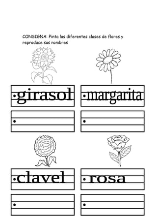 CONSIGNA: Pinta las diferentes clases de flores y
reproduce sus nombres
 