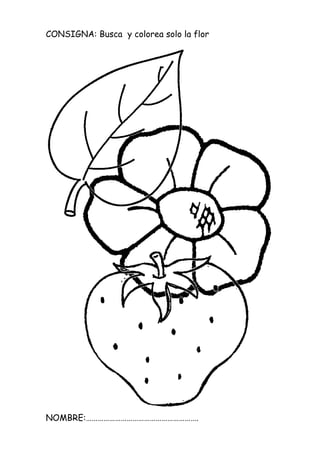 CONSIGNA: Busca y colorea solo la flor
NOMBRE:………………………………………………….
 