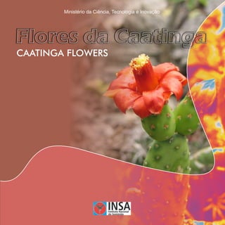 Flores da Caatinga