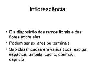 Inflorescência
• É a disposição dos ramos florais e das
flores sobre eles
• Podem ser axilares ou terminais
• São classificadas em vários tipos: espiga,
espádice, umbela, cacho, corimbo,
capítulo
 