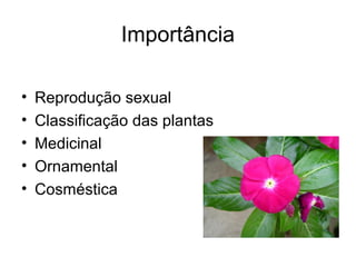 Importância
• Reprodução sexual
• Classificação das plantas
• Medicinal
• Ornamental
• Cosméstica
 