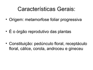 Características Gerais:
• Origem: metamorfose foliar progressiva
• É o órgão reprodutivo das plantas
• Constituição: pedúnculo floral, receptáculo
floral, cálice, corola, androceu e gineceu
 