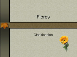 Flores
Clasificación
 