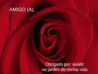 AMIGO (A), Obrigado por  existir  no jardim de minha vida. 