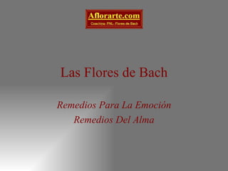 Las Flores de Bach Remedios Para La Emoción Remedios Del Alma 