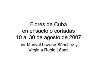 Flores de Cuba en el suelo o cortadas 10 al 30 de agosto de 2007 por Marival Lozano Sánchez y Virginia Rubio López 