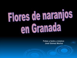 Fotos y texto y música:  José Gómez Muñoz Flores de naranjos  en Granada 