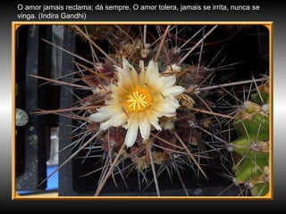 O amor jamais reclama; dá sempre. O amor tolera, jamais se irrita, nunca se vinga. (Indira Gandhi) 