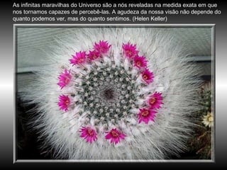 As infinitas maravilhas do Universo são a nós reveladas na medida exata em que nos tornamos capazes de percebê-las. A agudeza da nossa visão não depende do quanto podemos ver, mas do quanto sentimos. (Helen Keller) 