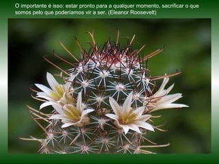 O importante é isso: estar pronto para a qualquer momento, sacrificar o que somos pelo que poderíamos vir a ser. (Eleanor Roosevelt) 