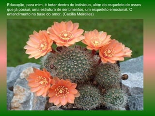 Educação, para mim, é botar dentro do indivíduo, além do esqueleto de ossos que já possui, uma estrutura de sentimentos, um esqueleto emocional. O entendimento na base do amor. (Cecília Meirelles) 