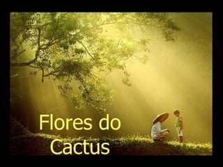 Flores do Cactus 