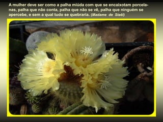 A mulher deve ser como a palha miúda com que se encaixotam porcela-
nas, palha que não conta, palha que não se vê, palha que ninguém se
apercebe, e sem a qual tudo se quebraria. (Madame de Staël)
 