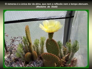 O remorso é a única dor da alma, que nem a reflexão nem o tempo atenuam.
                           (Madame de Staël)
 