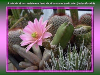 A arte da vida consiste em fazer da vida uma obra de arte. (Indira Gandhi)
 
