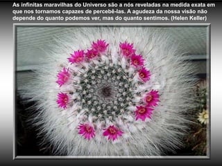 As infinitas maravilhas do Universo são a nós reveladas na medida exata em
que nos tornamos capazes de percebê-las. A agudeza da nossa visão não
depende do quanto podemos ver, mas do quanto sentimos. (Helen Keller)
 