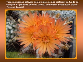 Todas as nossas palavras serão inúteis se não brotarem do fundo do
coração. As palavras que não dão luz aumentam a escuridão. (Madre
Tereza de Calcutá)
 