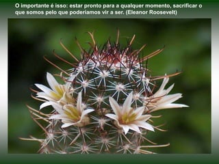 O importante é isso: estar pronto para a qualquer momento, sacrificar o
que somos pelo que poderíamos vir a ser. (Eleanor Roosevelt)
 