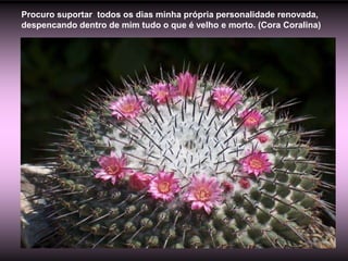 Procuro suportar todos os dias minha própria personalidade renovada,
despencando dentro de mim tudo o que é velho e morto. (Cora Coralina)
 
