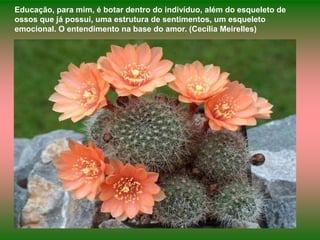 Educação, para mim, é botar dentro do indivíduo, além do esqueleto de
ossos que já possui, uma estrutura de sentimentos, um esqueleto
emocional. O entendimento na base do amor. (Cecília Meirelles)
 