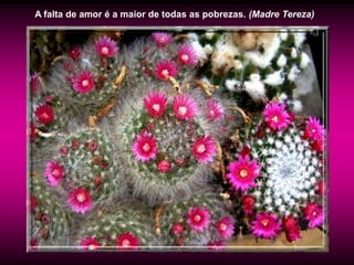 A falta de amor é a maior de todas as pobrezas. (Madre Tereza)
 