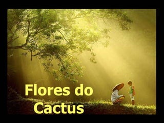 Flores do
 Cactus
 