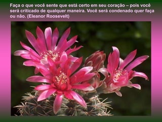 Faça o que você sente que está certo em seu coração – pois você será criticado de qualquer maneira. Você será condenado quer faça ou não. (Eleanor Roosevelt)