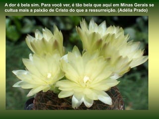 A dor é bela sim. Para você ver, é tão bela que aqui em Minas Gerais se cultua mais a paixão de Cristo do que a ressurreição. (Adélia Prado)