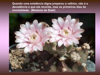 Quando uma existência digna preparou a velhice, não é a decadência o que ela recorda, mas os primeiros dias da imortalidade.  (Madame de Staël)
