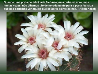 Quando uma porta de felicidade fecha-se, uma outra se abre; mas muitas vezes, nós olhamos tão demoradamente para a porta fechada que não podemos ver aquela que se abriu diante de nós.  (Helen Keller)