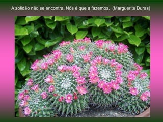 A solidão não se encontra. Nós é que a fazemos.  (Marguerite Duras)