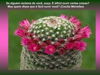 Se alguém reclama de você, ouça. É difícil ouvir certas coisas?  Mas quem disse que é fácil ouvir você? (Cecília Meirelles)