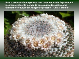 Nunca escreverei uma palavra para lamentar a vida. O presente é incomparavelmente melhor do que o passado, assim como também o é o futuro em relação ao presente. (Cora Coralina)