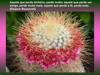 Aquele que perde dinheiro, perde muito; aquele que perde um amigo, perde muito mais; aquele que perde a fé, perde tudo. (Eleanor Roosevelt)