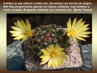 A todos os que sofrem e estão sós, daí sempre um sorriso de alegria. Não lhes proporciones apenas os vossos cuidados, mas também o vosso coração. Enquanto estiveres vivo sente-te vivo. (Madre Tereza)