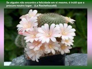 Se alguém não encontra a felicidade em si mesmo, é inútil que a procure noutro lugar.   (La Rochefoucald)