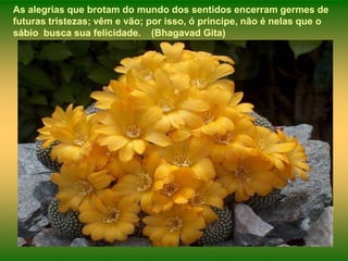 As alegrias que brotam do mundo dos sentidos encerram germes de futuras tristezas; vêm e vão; por isso, ó príncipe, não é nelas que o sábio  busca sua felicidade.    (Bhagavad Gita)