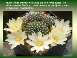 Quem tem fé em Deus deixa que Ele atue como quiser. Tem certeza de que Ele sabe o que é mais certo, mais justo e mais conveniente. (Hermógenes)