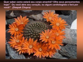 Quer saber como estará seu corpo amanhã? Olhe seus pensamentos hoje!”  Ou você abre seu coração, ou algum cardiologista o fará por você!”  (Deepak Chopra)