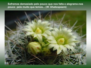 Sofremos demasiado pelo pouco que nos falta e alegramo-nos pouco  pelo muito que temos... (W. Shakespeare)