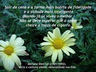 Sair de cena é a forma mais bonita de fidelidade e a atitude mais inteligente quando já se viveu o melhor.  Não se deve esperar que o amor cheire a tocos de cigarro. Marlene Dietrich (1901/1992), atriz e cantora alemã, naturalizada nos EUA 
