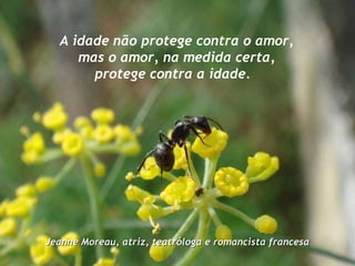 A idade não protege contra o amor, mas o amor, na medida certa, protege contra a idade.  Jeanne Moreau, atriz, teatróloga e romancista francesa 