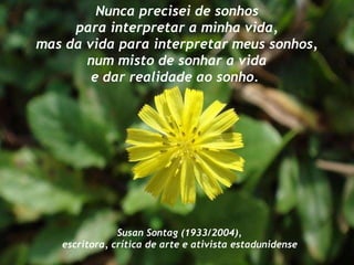 Nunca precisei de sonhos para interpretar a minha vida, mas da vida para interpretar meus sonhos, num misto de sonhar a vida e dar realidade ao sonho.  Susan Sontag ( 1933/2004), escritora, crítica de arte e ativista estadunidense   