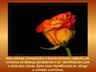 Esta síntese conceptual e o funcionamento orgânico do  universo se alcança penetrando e se  identificando com  a alma das coisas. Após essa identificação se  atinge  a unidade com Deus. 