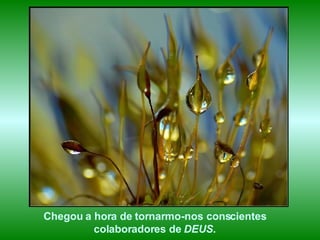 Chegou a hora de tornarmo-nos conscientes  colaboradores de  DEUS .   