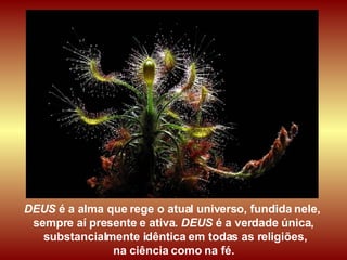 DEUS  é a alma que rege o atual universo, fundida nele,  sempre aí presente e ativa.  DEUS  é a verdade única, substancialmente idêntica em todas as religiões, na ciência como na fé.   