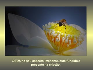DEUS  no seu aspecto imanente, está fundido e presente na criação.   