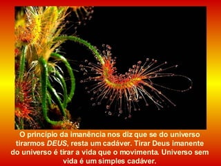 O princípio da imanência nos diz que se do universo tirarmos  DEUS , resta um cadáver. Tirar Deus imanente  do universo é tirar a vida que o movimenta. Universo sem vida é um simples cadáver. 