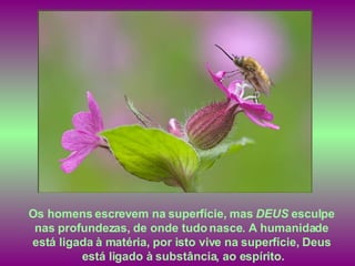 Os homens escrevem na superfície, mas  DEUS  esculpe  nas profundezas, de onde tudo nasce. A humanidade  está ligada à matéria, por isto vive na superfície, Deus  está ligado à substância, ao espírito. 