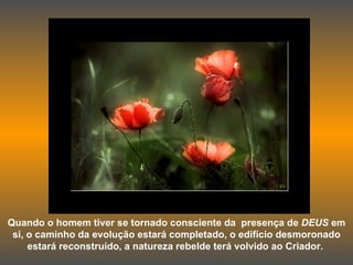 Quando o homem tiver se tornado consciente da  presença de  DEUS  em si, o caminho da evolução estará completado, o edifício desmoronado estará reconstruído, a natureza rebelde terá volvido ao Criador .   
